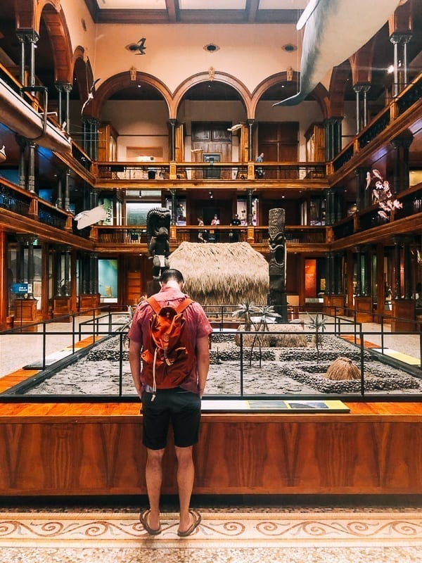 Bishop Museum Interior, bmeteor.aiodimecu.cf