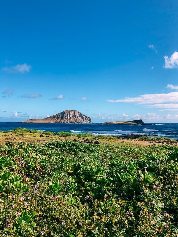 View from Makapu'u, bmeteor.aiodimecu.cf