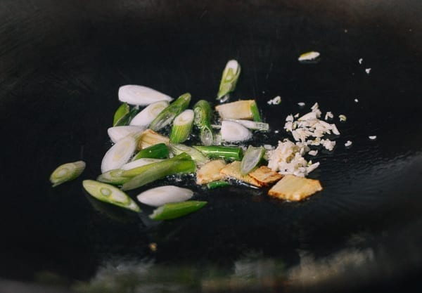 Ginger, garlic and scallions in wok, bmeteor.aiodimecu.cf