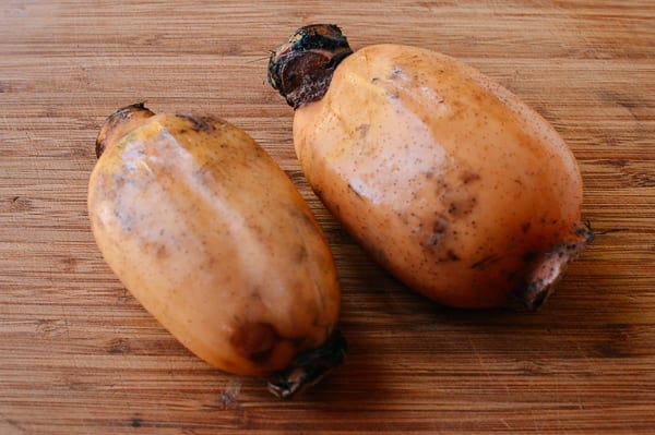 Lotus Root, bmeteor.aiodimecu.cf