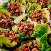 Chicken larb in lettuce cups, bmeteor.aiodimecu.cf