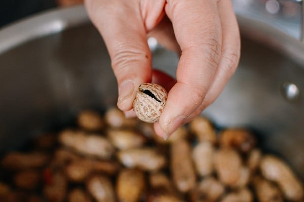 Cracking peanut shell open, bmeteor.aiodimecu.cf
