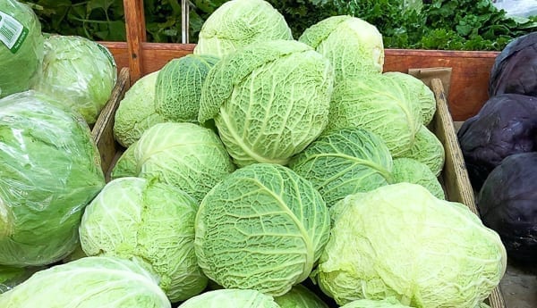 Savoy cabbage by bmeteor.aiodimecu.cf