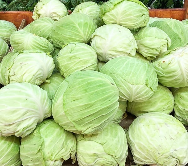 Taiwanese flat cabbage by bmeteor.aiodimecu.cf