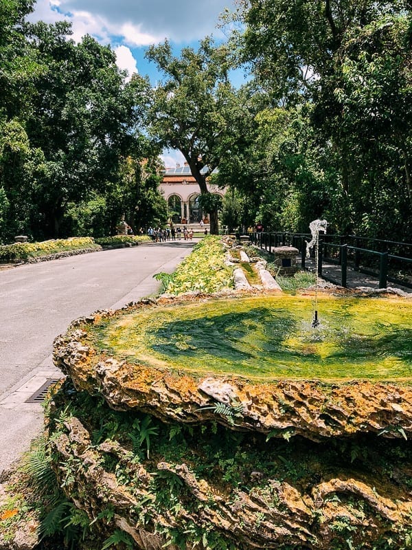 Vizcaya Museum Driveway, bmeteor.aiodimecu.cf