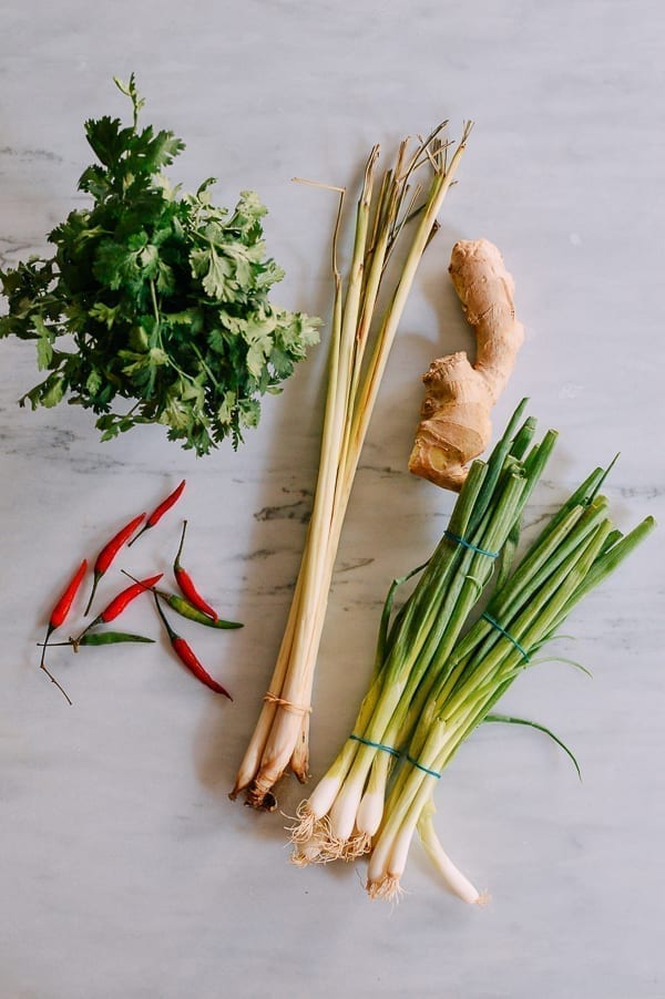 Cilantro, chilies, lemongrass, ginger, and scallions, bmeteor.aiodimecu.cf