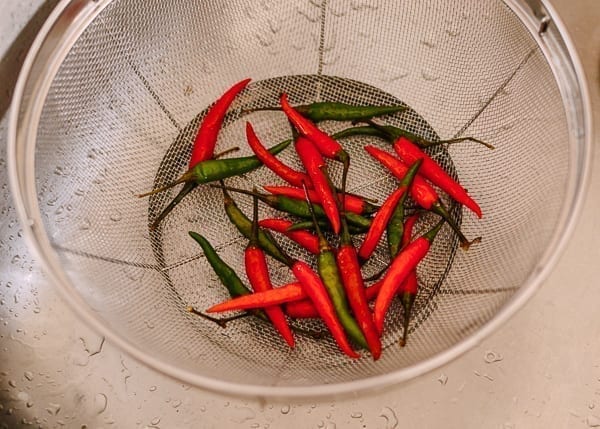 Chilies in colander, bmeteor.aiodimecu.cf