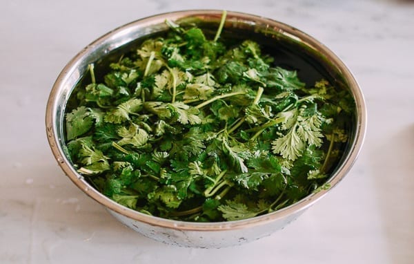 Soaking cilantro in water, bmeteor.aiodimecu.cf
