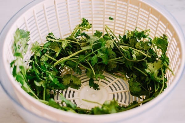 Cilantro in salad spinner, bmeteor.aiodimecu.cf