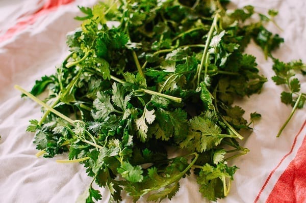 Drying cilantro with clean towel, bmeteor.aiodimecu.cf