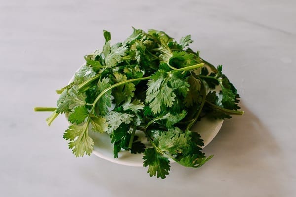 Clean cilantro on a plate, bmeteor.aiodimecu.cf