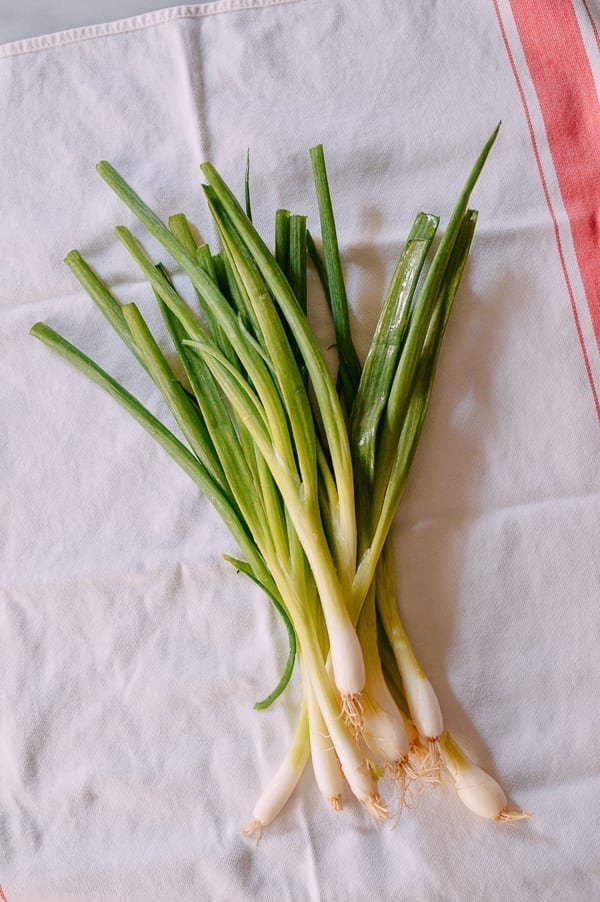 Drying Scallions, bmeteor.aiodimecu.cf