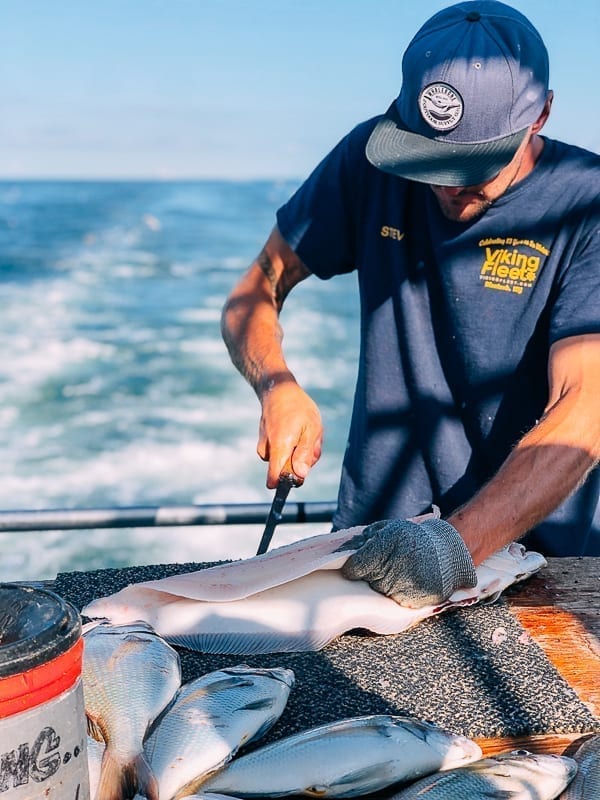 Filleting fluke on boat, bmeteor.aiodimecu.cf
