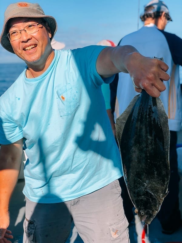 Bill with fluke, bmeteor.aiodimecu.cf