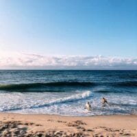 Dogs running on beach, bmeteor.aiodimecu.cf