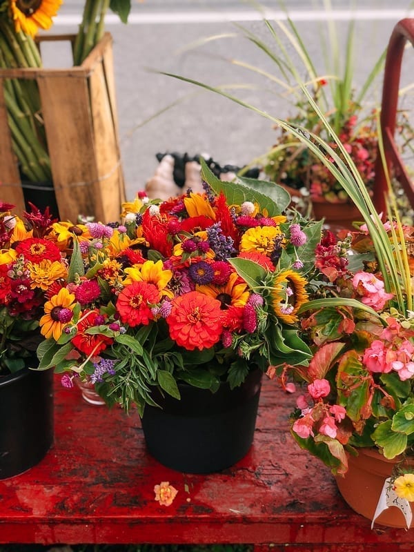 Hamptons Farm Stand Flowers, bmeteor.aiodimecu.cf