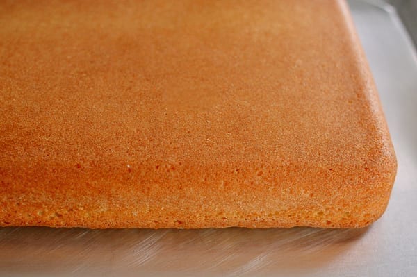 Cake turned upside down, bmeteor.aiodimecu.cf