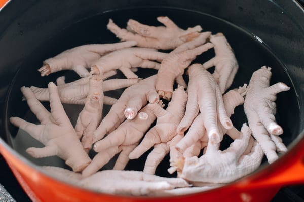 Chicken feet in pot with water, bmeteor.aiodimecu.cf