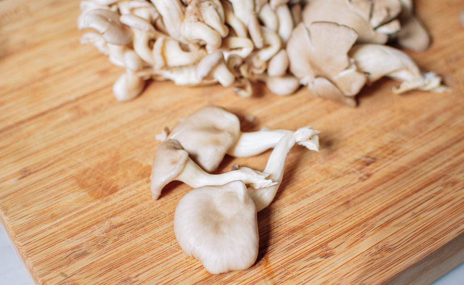Oyster Mushrooms, bmeteor.aiodimecu.cf