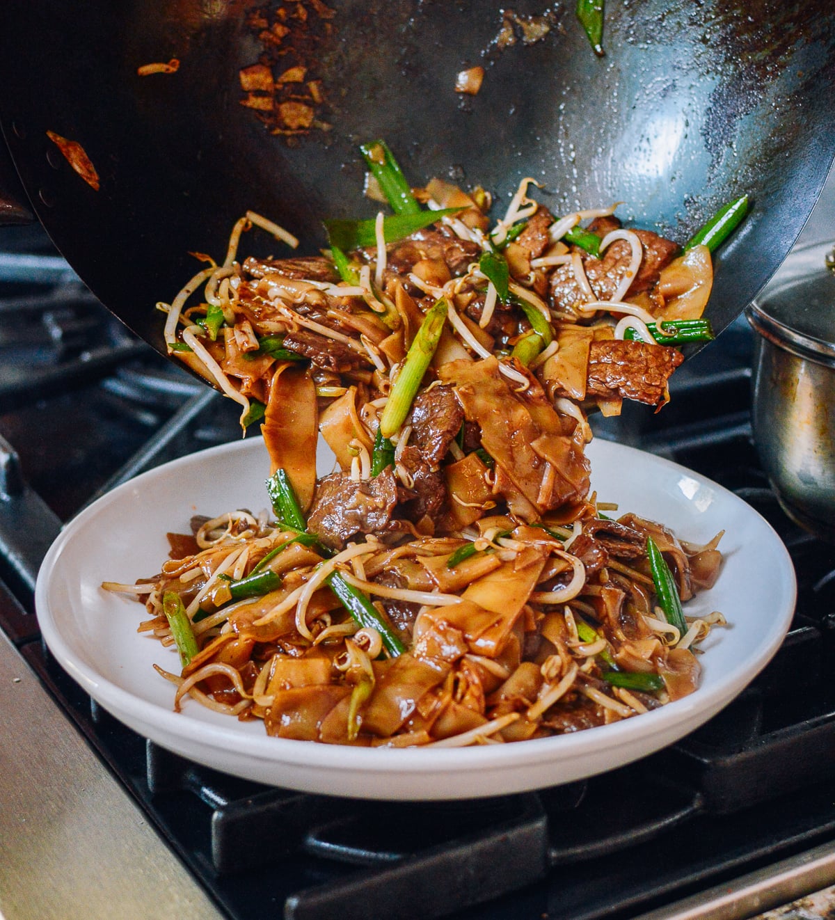 Plating Beef Chow Fun, bmeteor.aiodimecu.cf