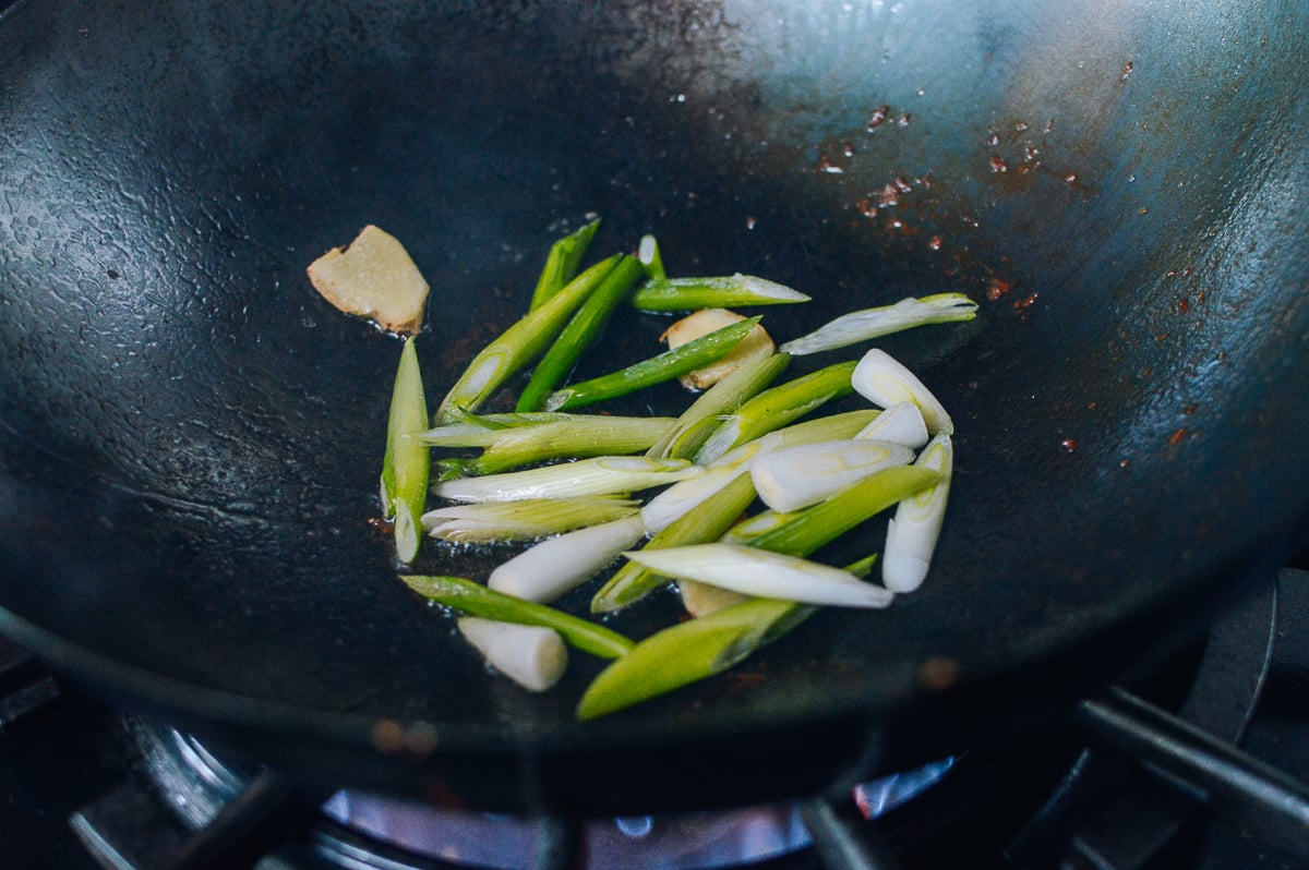 Ginger and scallions in wok, bmeteor.aiodimecu.cf