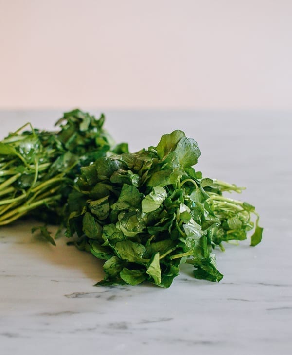 Bundles of watercress, bmeteor.aiodimecu.cf