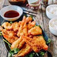 Fantail Shrimp, bmeteor.aiodimecu.cf