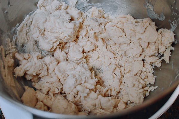 Shaggy flour and water dough, bmeteor.aiodimecu.cf