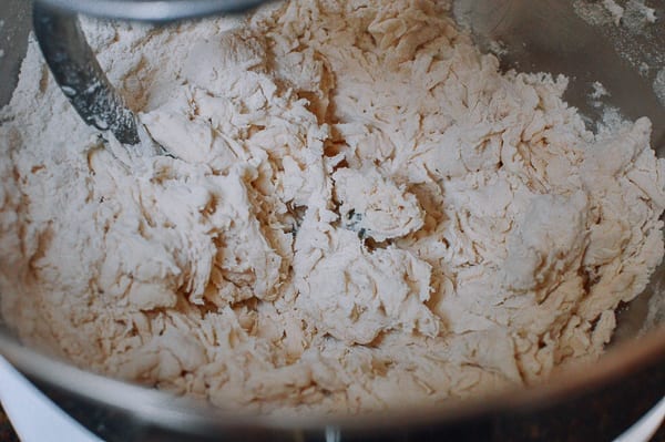 Flour, water, and salt forming very shaggy dough in mixer, bmeteor.aiodimecu.cf