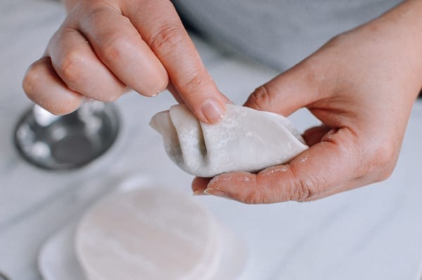 Pleating a Chinese Dumpling, bmeteor.aiodimecu.cf