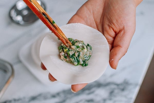 Adding a tablespoon of filling to dumpling wrapper, bmeteor.aiodimecu.cf