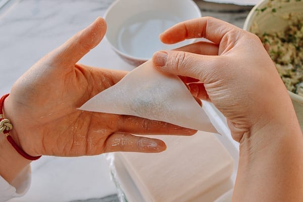 Folding wonton wrapper in half into a triangle, bmeteor.aiodimecu.cf