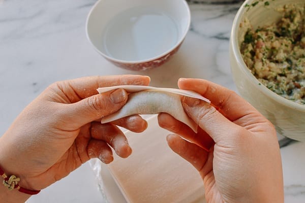 How to Fold a Wonton, bmeteor.aiodimecu.cf