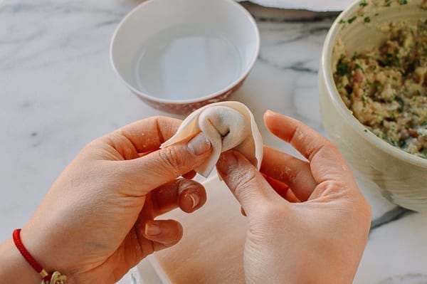 How to Fold a Wonton, bmeteor.aiodimecu.cf