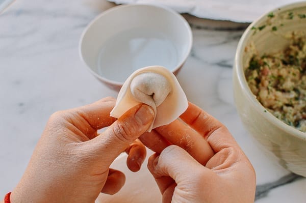 How to fold wontons, bmeteor.aiodimecu.cf
