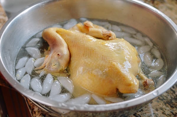 Poached chicken in ice water, bmeteor.aiodimecu.cf