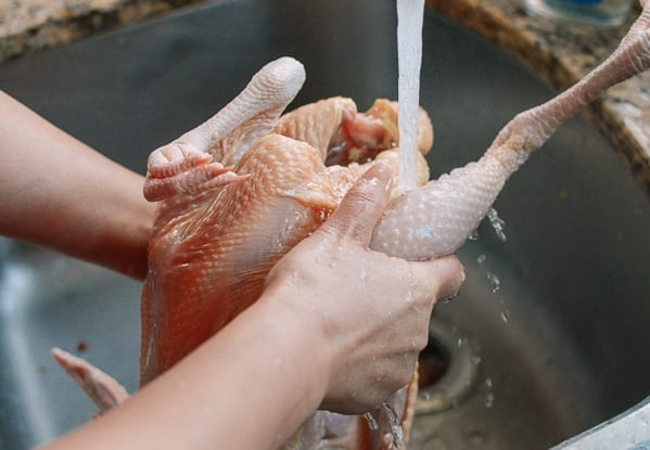 Rinsing chicken cavity, bmeteor.aiodimecu.cf