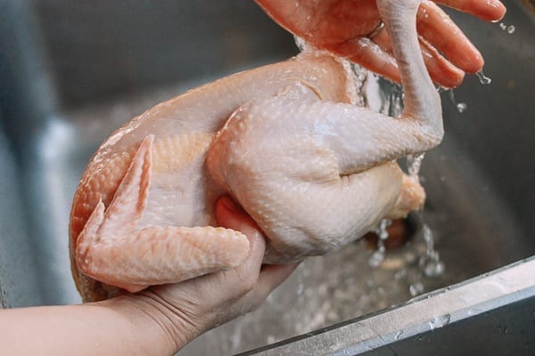 Rinsing whole chicken, bmeteor.aiodimecu.cf