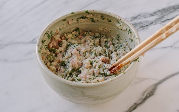 Chicken wonton filling, bmeteor.aiodimecu.cf