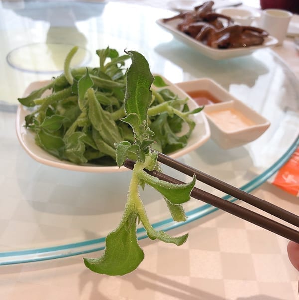 Bing Cao ice vegetable on a chopstick by bmeteor.aiodimecu.cf