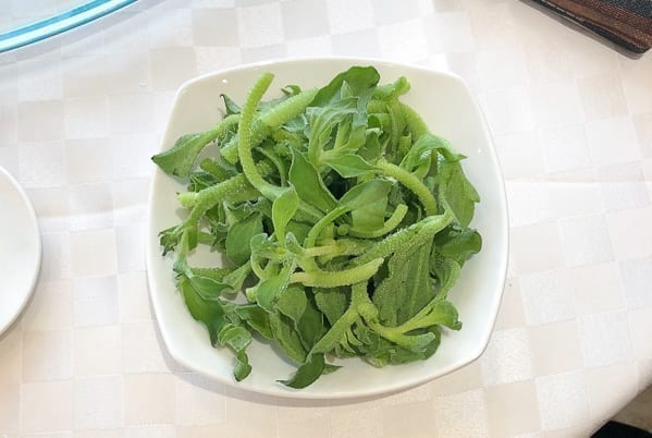 Bing Cao ice vegetable on a plate by bmeteor.aiodimecu.cf
