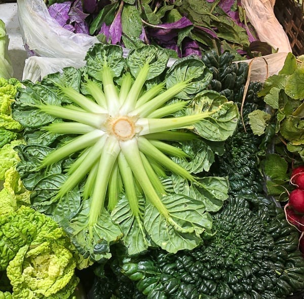 Bottom of Tatsoi leafy green Chinese vegetable by bmeteor.aiodimecu.cf