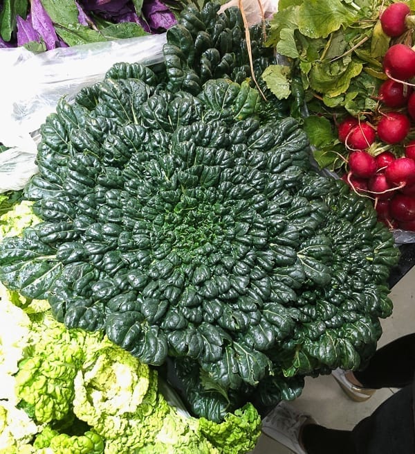 Tatsoi leafy green Chinese vegetable by bmeteor.aiodimecu.cf