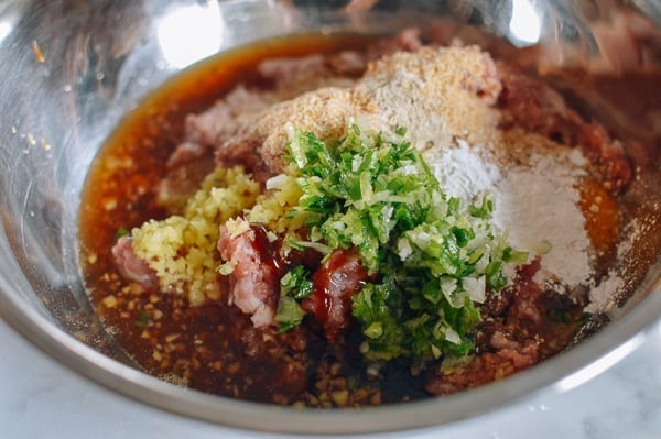 Lion's Head Meatball mixture, bmeteor.aiodimecu.cf