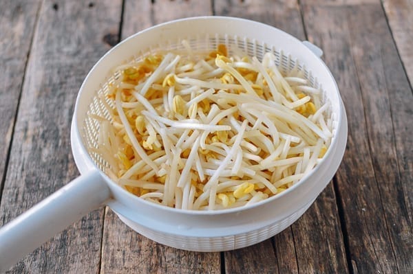 Trimmed soybean sprouts in colander, bmeteor.aiodimecu.cf