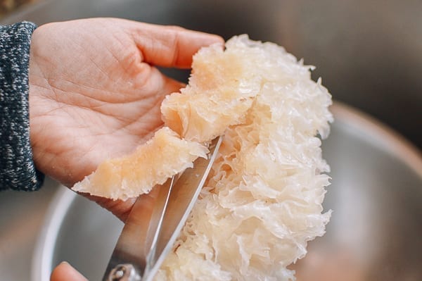 Cutting tough end off of reconstituted snow fungus, bmeteor.aiodimecu.cf