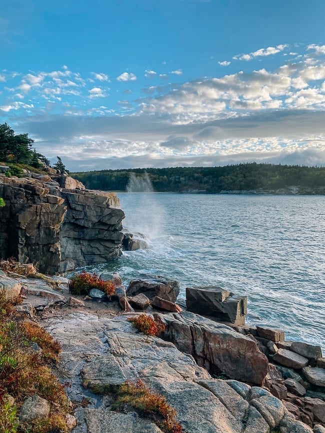 Shoreline along Ocean Path in Acadia, bmeteor.aiodimecu.cf