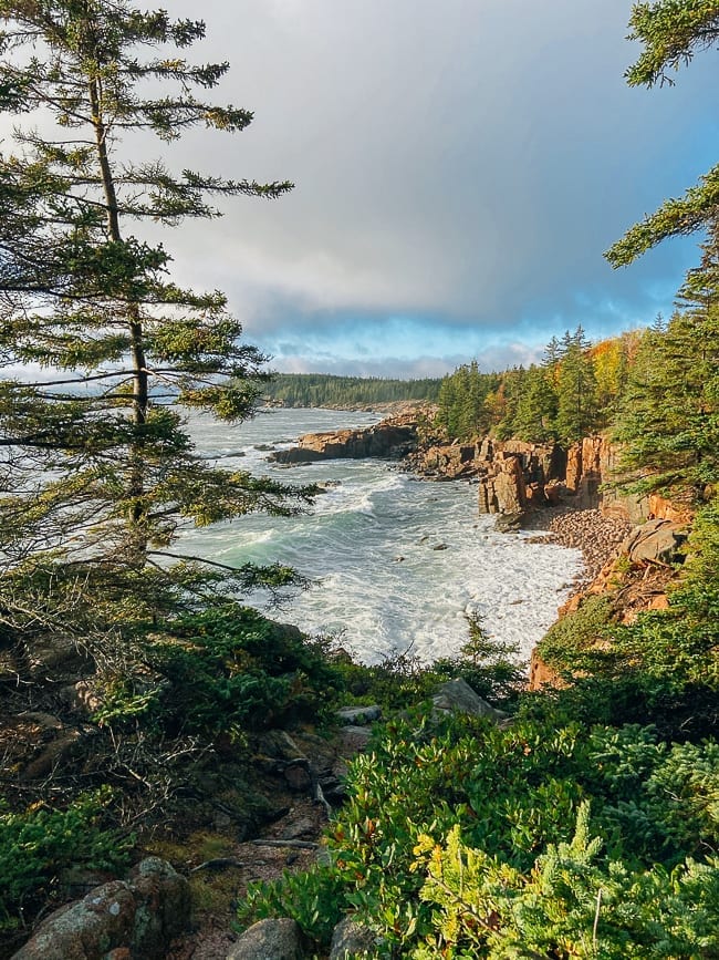 Shoreline along Ocean Path in Acadia, bmeteor.aiodimecu.cf