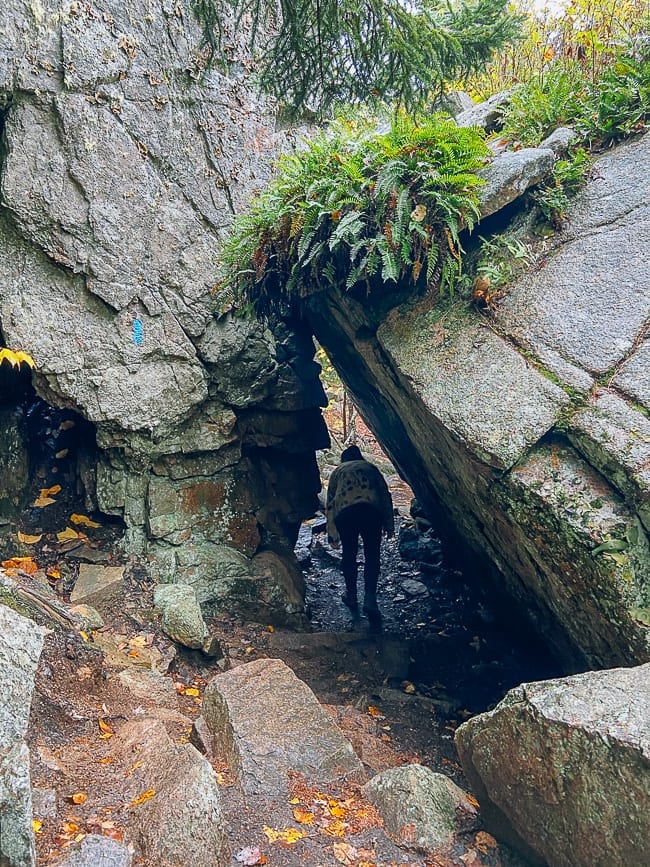 Cadillac Cliffs spur trail in Acadia National Park, bmeteor.aiodimecu.cf
