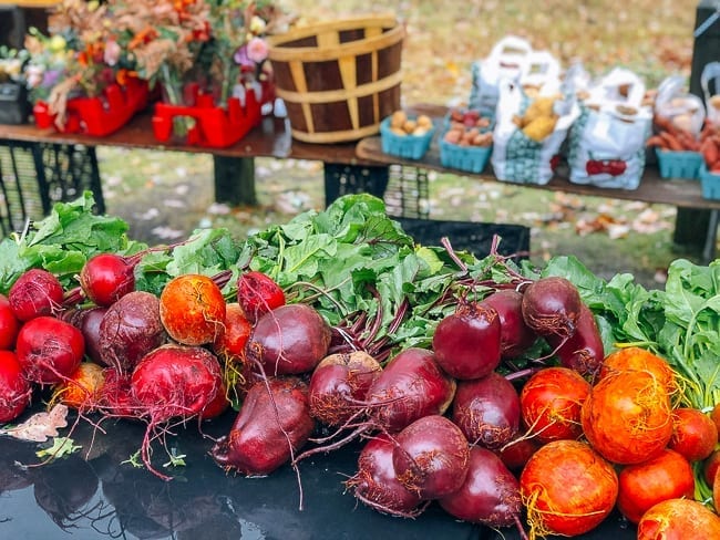 Beets at Porland Maine Farmer's Market, bmeteor.aiodimecu.cf